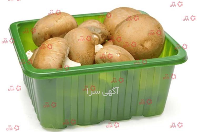 آگهی های بسته بندی - بندرعباس
