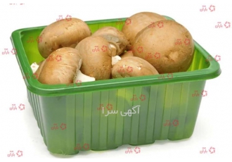 خرید و قیمت انواع ظرف قارچ دکمه ای برای بسته بندی