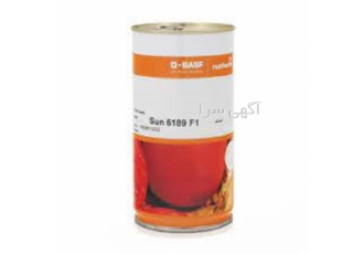 فروش بذر گوجه فرنگی سانسید 6189 اصل شرکتی