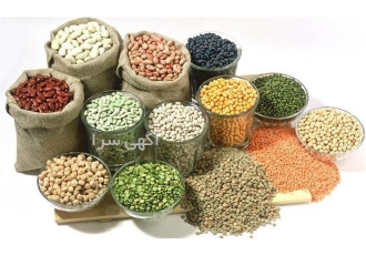 فروش انواع دان طیور و خوراک طیور