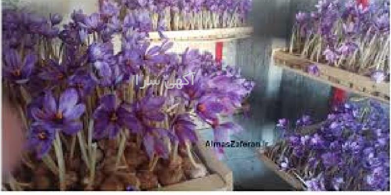 آگهی های آموزش فنی و حرفه ای