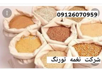 فروش دان مرغ با کیفیت طیور در تهران تهیه دان مرغ میتوان از غلات دانه ها