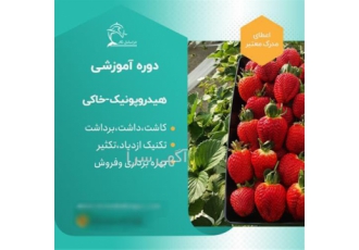 آموزش گلخانه هیدروپونیک و خاکی مدرک معتبر
