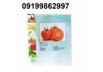 بذر گوجه فرنگی ساکاتا پرفروش اصل در بندرعباس بذر گوجه فرنگی ساکاتا