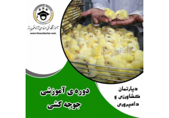 دوره آموزشی جوجه کشی حضوری و آنلاین در اصفهان آموزشگاه فنی حرفه ای فنون