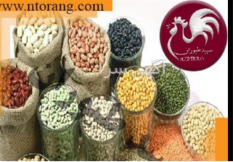 فروش دان مرغ دان مرغ با قیمت مناسب طیور در تهران فروش دان مرغ دان