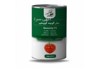 فروش عمده بذر گوجه کوینتی در اصفهان بذر گوجه کوینتی اگر به دنبال خرید