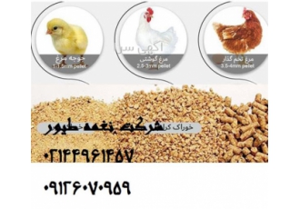 فروش انواع دان طیور / طیور