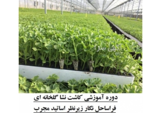 دوره آموزشی کاشت نشا گلخانه ای با مدرک معتبر در تهران دوره آموزش کاشت