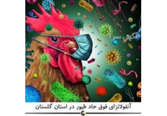 دوره آموزشی جیره نویسی طیور همراه با اعطای مدرک