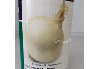 بذر پیاز سفید سایروس