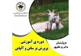 برگزاری کارگاه آموزشی پرورش بز سانن و آلپاین