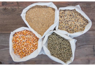 فروش دان مخصوص پرورش ماکیان فروش دان مخصوص پرورش ماکیان