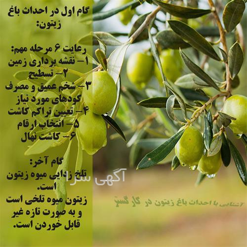 آگهی های آموزش فنی و حرفه ای - البرز