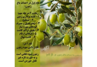 آموزش باغبانی در کرج هدف از برگزاری این دوره آموزش کامل جهت کشت درختان