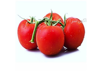 فروش بذر گوجه CLX 38122 کلوز
