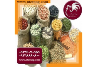فروش دان مرغ تخم گذار سپید طیوران طیور در تهران فروش دان مرغ تخم