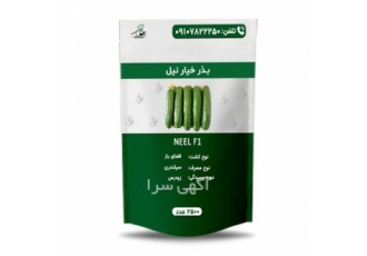 فروش عمده بذر خیار نیل در تهران بذر خیار نیل ارائه محصولات بازارپسند