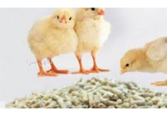 آموزش جیره نویسی طیور همراه با اعطای مدرک