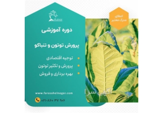 دوره آموزشی کاشت توتون و تنباکو در تهران برخی سرفصل های این دوره دوره