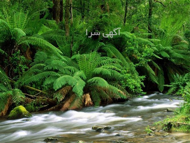 آگهی های مشاوره - بوشهر