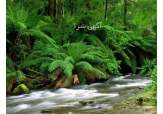 خدمات تخصصی مامایی و مشاوره پزشکی در مطب مامایی فردین