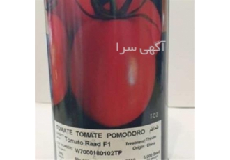 بذر گوجه رعد با کیفیت درجه یک و اصل