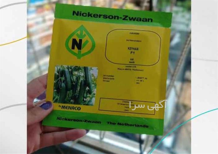 گلخانه خیار سبز