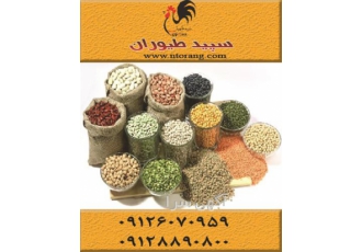 فروش دان مرغ ، خوراک طیور تخمگذار و گوشتی - طیور