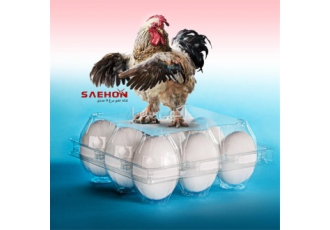 فروش شانه تخم مرغ شانه تخم بلدرچین در تهران ما جهت کمک به صنعت بسته