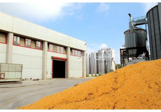 بهترین قیمت روغن سویا مخصوص طیور