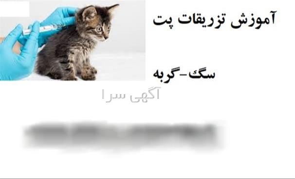 آمپول ملیتاید دیجی کالا