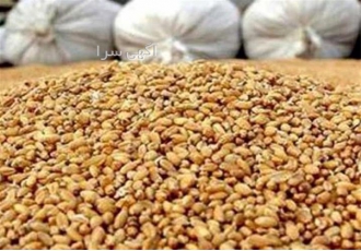 فروش دان مرغ گوشتی با تضمین عالی طیور در تهران فروش دان مرغ گوشتی