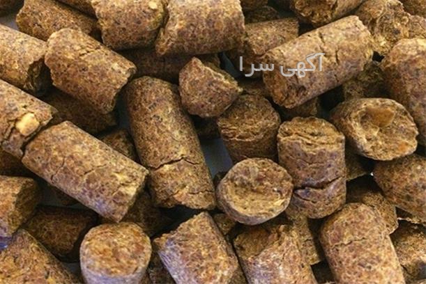 دامپزشکی عروس هلندی تهران