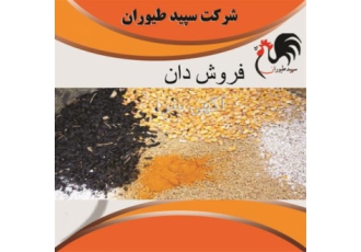 فروش دان مرغ تخم گذار&#۱۶۰; &#۱۶۰; طیور در تهران فروش دان مرغ تخم گذار