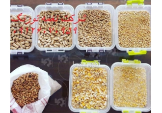 فروش استارتر جوجه