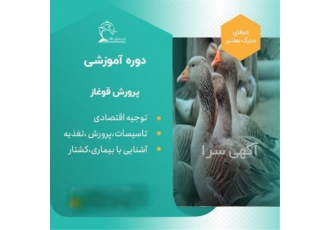 دوره آموزشی پرورش قوغاز در تهران بررسی توجیه اقتصادی طرح در منطقه