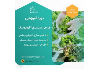 آموزش آکواپونیک از ۰ تا ۱۰۰ در آموزشگاه فرا ساحل در تهران کشت آکوآپونیک