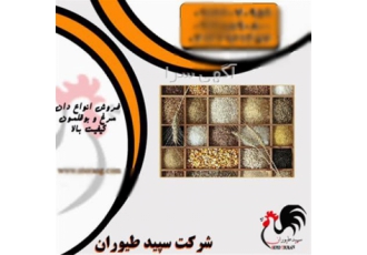 خرید و فروش دان مرغ گوشتی و بومی با کیفیت ممتاز در تهران به دنبال