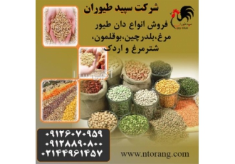 تولید و فروش دان مرغ، عرضه دان بوقلمون - طیور