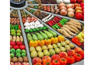 دوره آموزشی کاشت صیفی جات در تهران آموزش صفر تا صد پرورش صیفی جات توسط