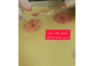 آموزش هاله سینه در تهران آموزش هاله سینه یک روزه با ارائه مدرک پشتیبانی