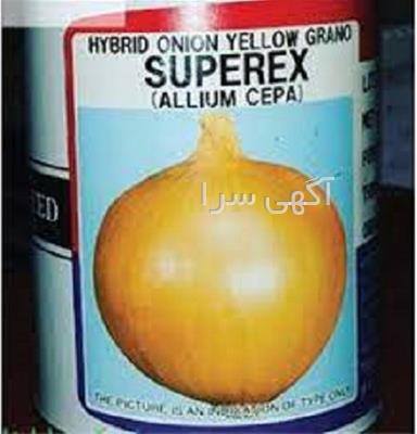 آگهی های بذر و نهال - رفسنجان