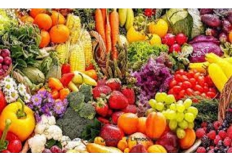 آموزش پرورش صیفی جات به صورت تخصصی