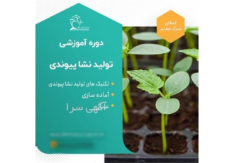 آموزش کامل تولید نشاء پیوندی با رویکرد جدید و جذاب در تهران در دوره