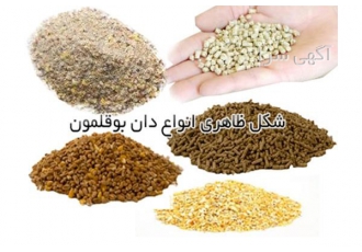 فروش ویژه دان مخصوص بوقلمون - طیور