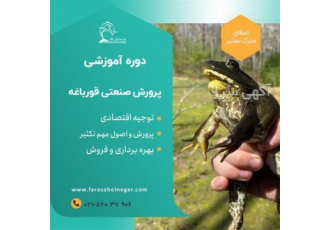 دوره پرورش تکثیر صنعتی قورباغه گوشتی فراساحل نگار
