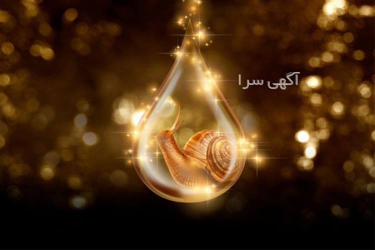 آگهی های آرایشی و زیبایی - مشهد