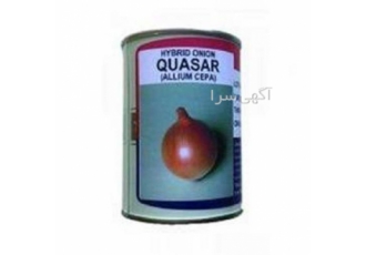 فروش بذر پیاز زرد تاکی ژاپن در مشگین شهر فروش بذر پیاز زرد تاکی ژاپن