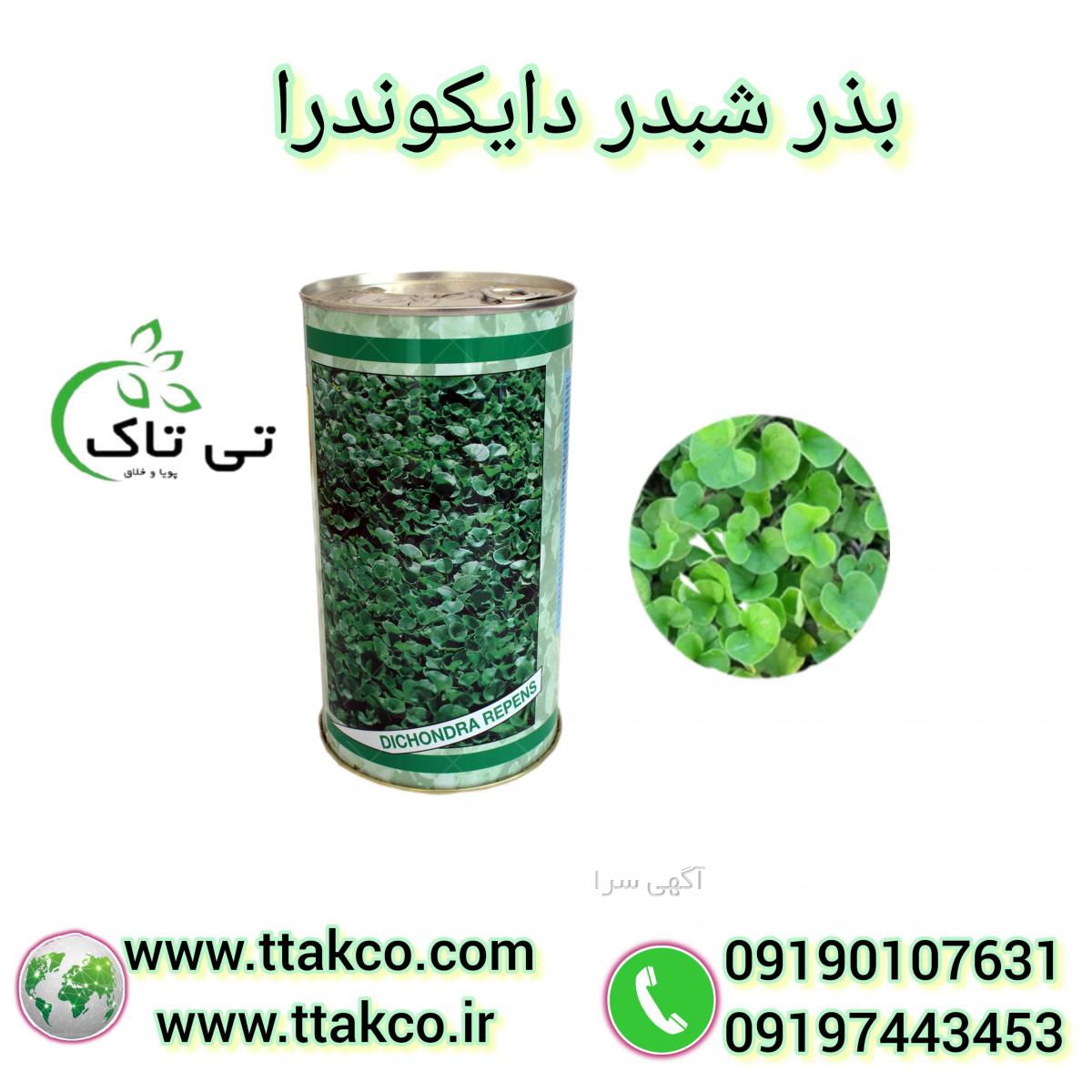 آگهی های خدمات و لوازم صنعتی و صنفی - ایلام